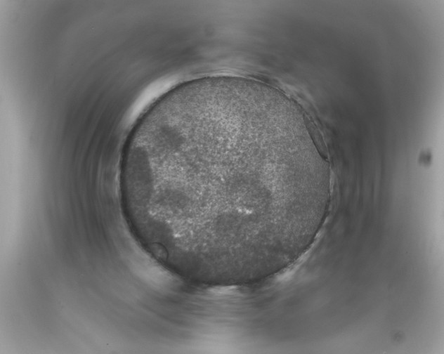X0000089860054200707262137