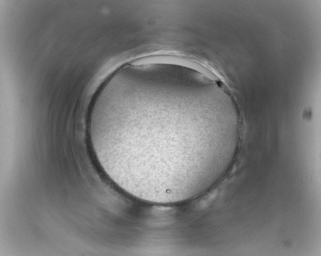 X0000089860055200707262137