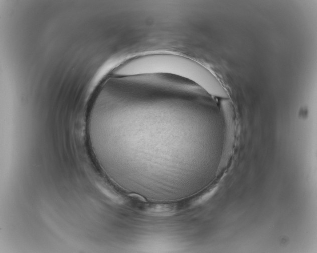 X0000089860056200707262137