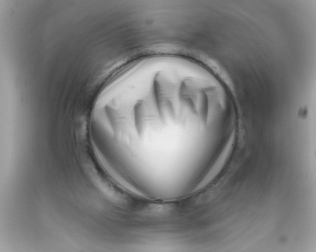 X0000089860057200707262137