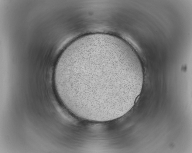 X0000089860058200707262137