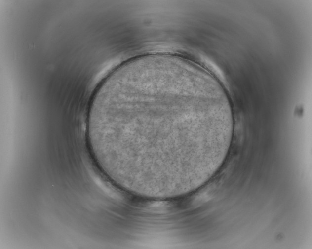 X0000089860059200707262137