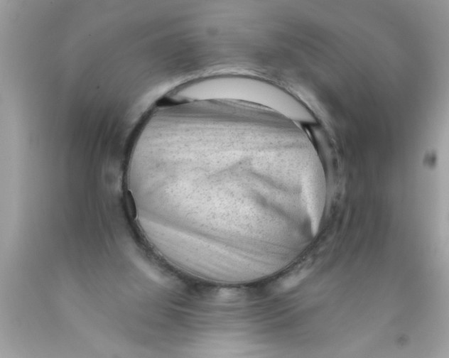 X0000089860060200707262137