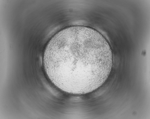 X0000089860061200707262137
