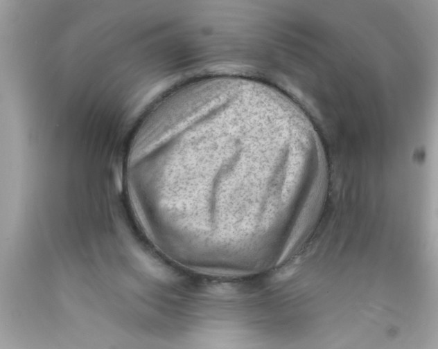X0000089860062200707262137