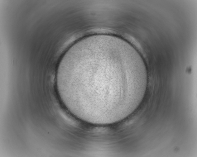 X0000089860063200707262137