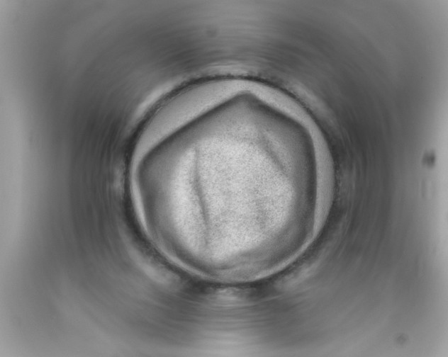 X0000089860064200707262137