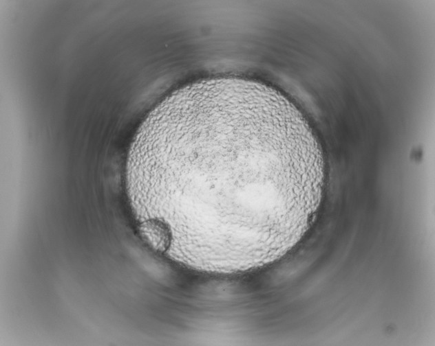 X0000089860065200707262137