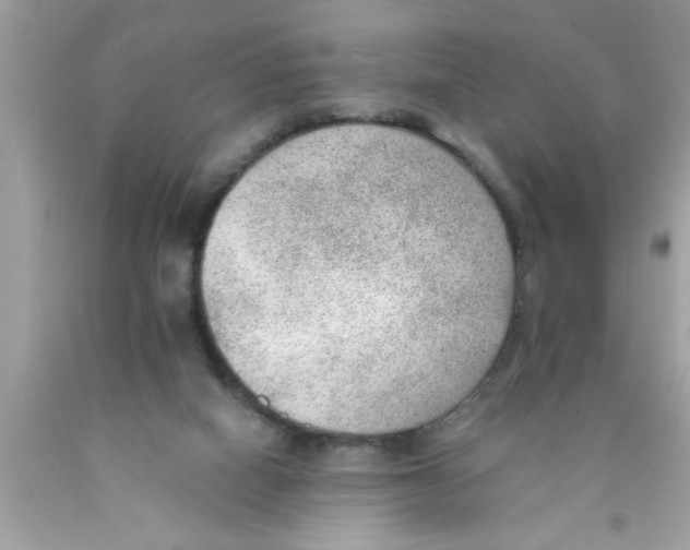X0000089860066200707262137