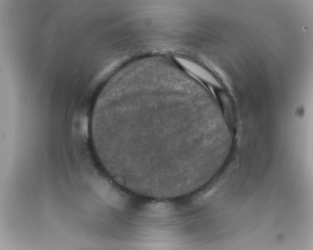 X0000089860067200707262137