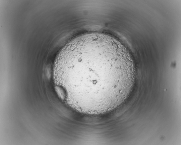 X0000089860069200707262137