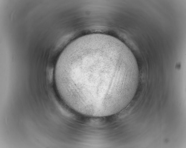 X0000089860070200707262137