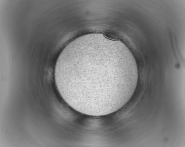X0000089860071200707262137