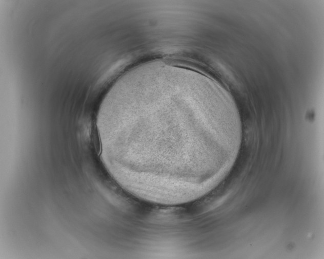 X0000089860072200707262137