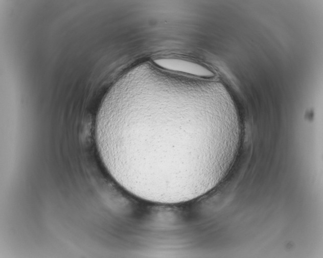 X0000089860073200707262137
