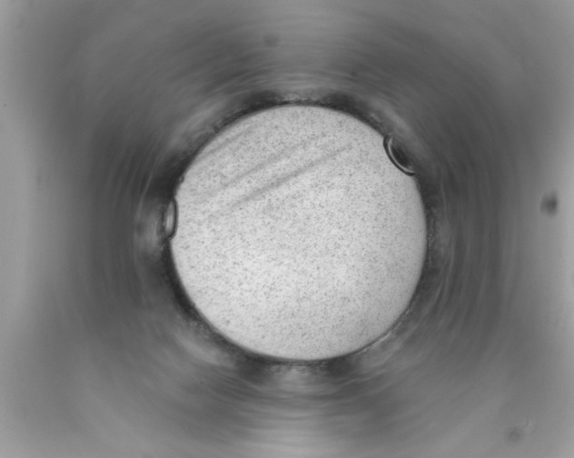X0000089860074200707262137