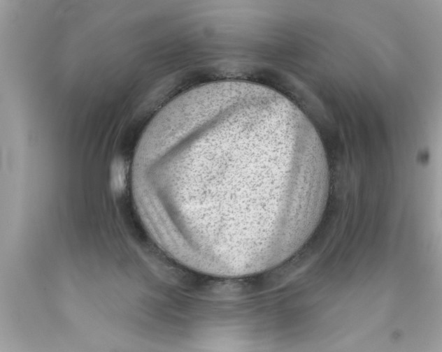 X0000089860075200707262137