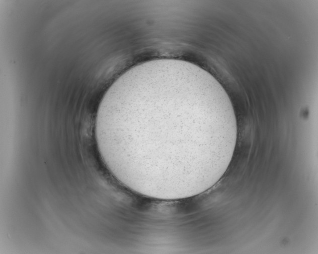 X0000089860078200707262137
