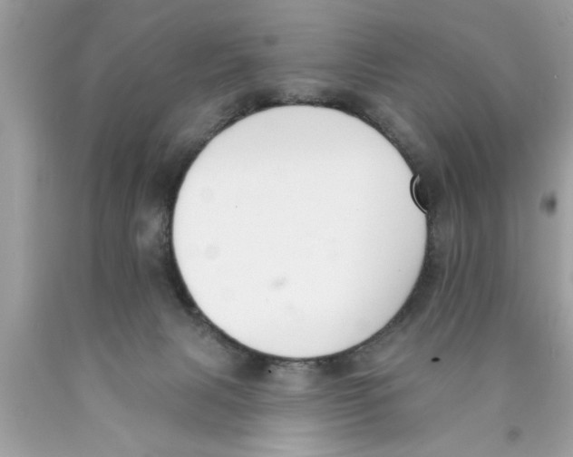 X0000089860079200707262137