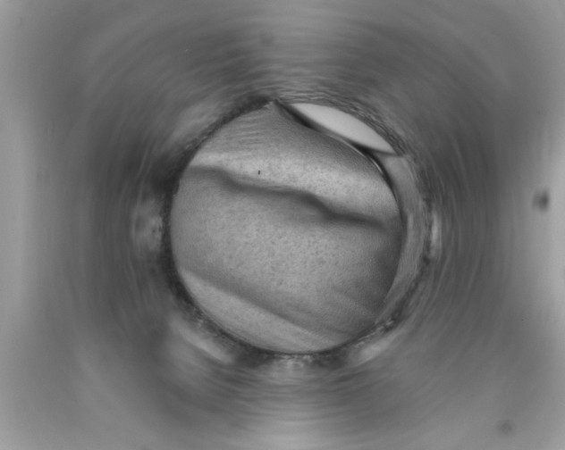 X0000089860080200707262137