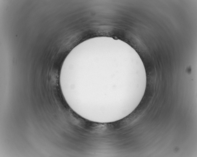 X0000089860083200707262137