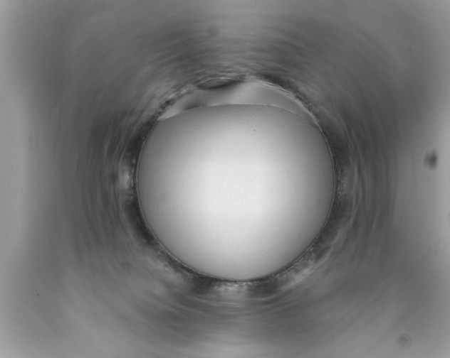 X0000089860084200707262137