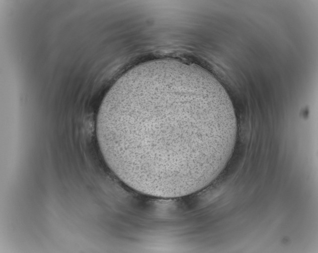 X0000089860085200707262137
