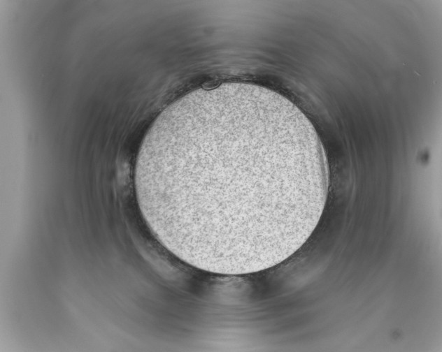 X0000089860087200707262137