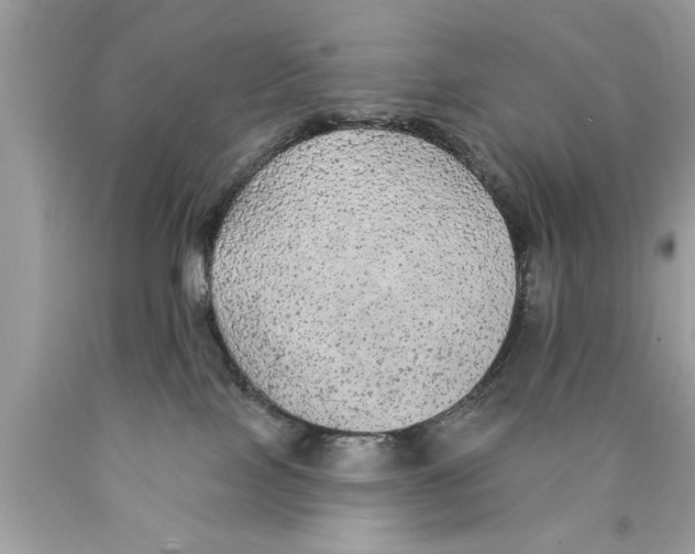 X0000089860089200707262137