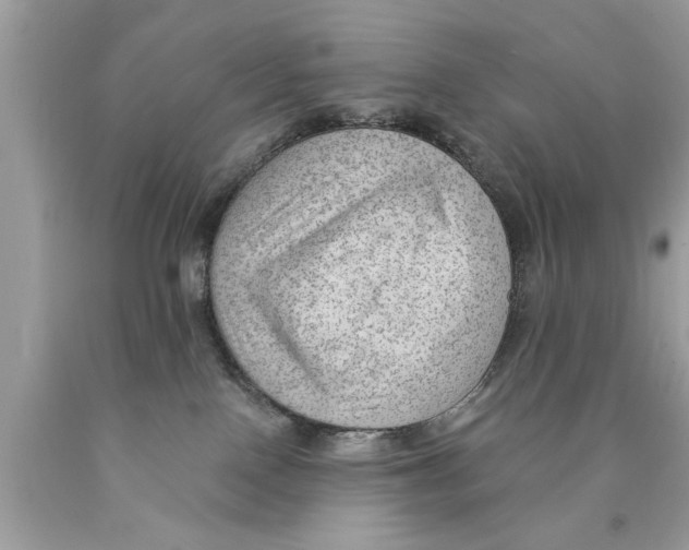 X0000089860090200707262137