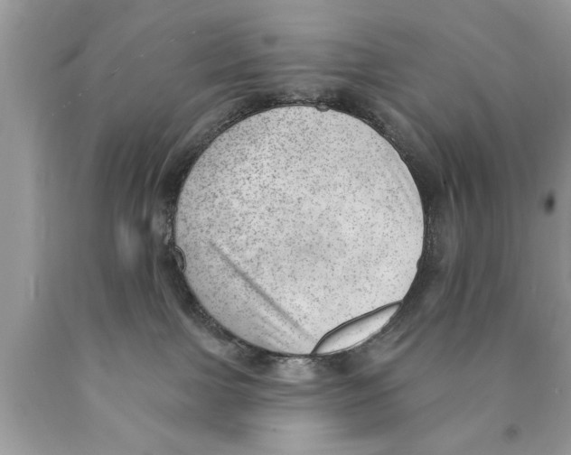 X0000089860091200707262137