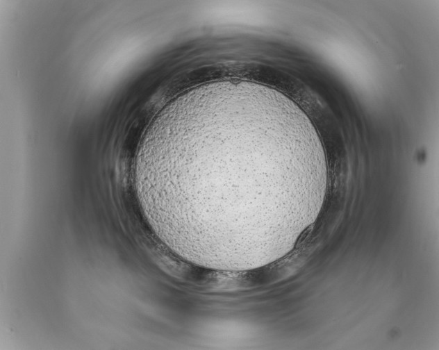 X0000089860093200707262137