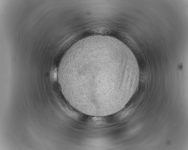 X0000089860095200707262137