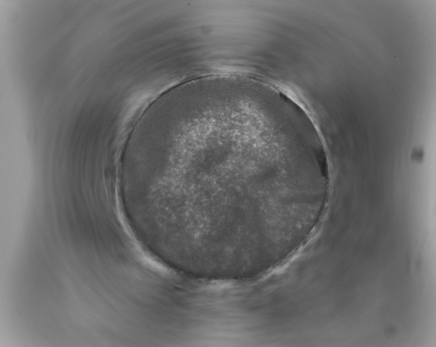 X0000089860097200707262137