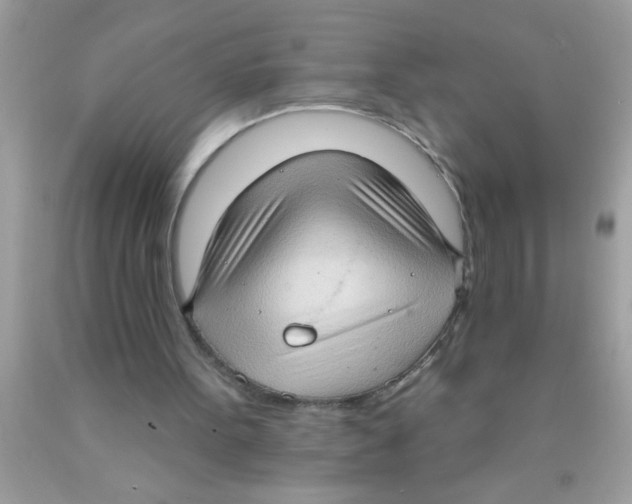 X0000089860099200707262137