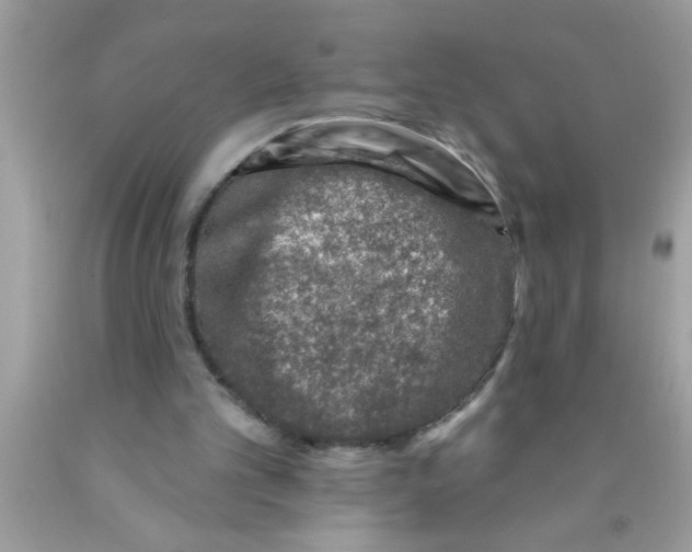 X0000089860101200707262137