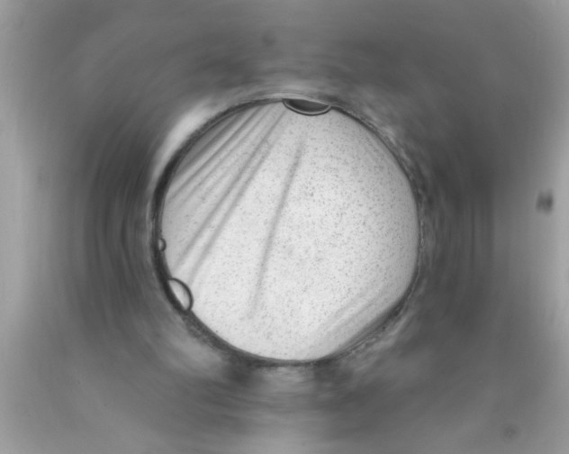 X0000089860102200707262137