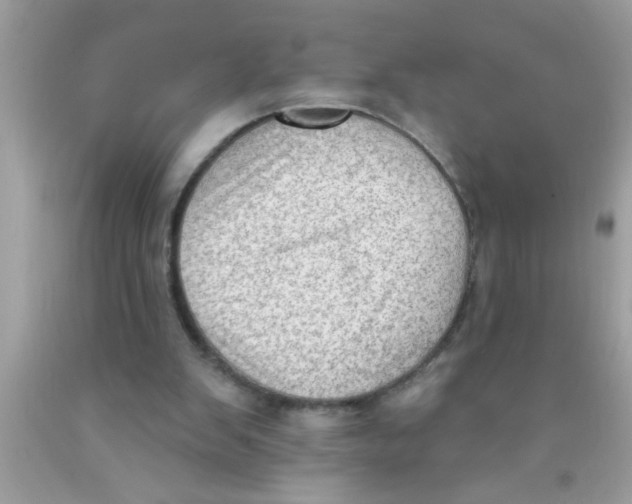 X0000089860103200707262137