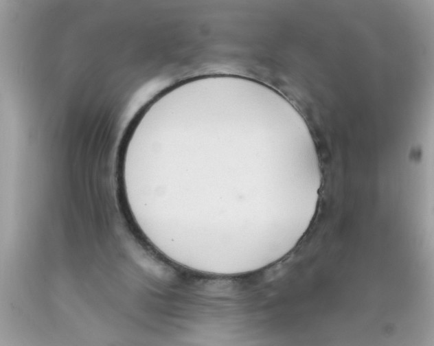 X0000089860104200707262137