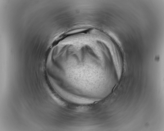 X0000089860105200707262137