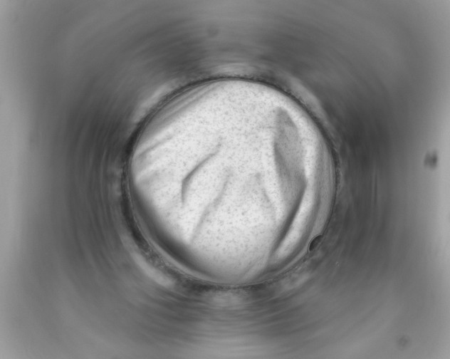 X0000089860106200707262136
