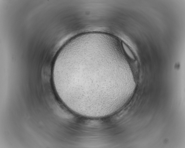 X0000089860107200707262136