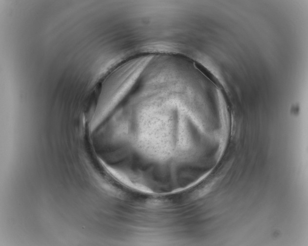 X0000089860109200707262136