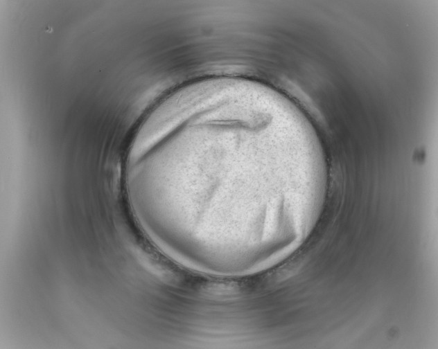 X0000089860110200707262136