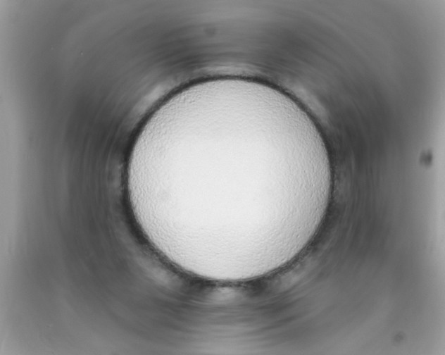 X0000089860111200707262136