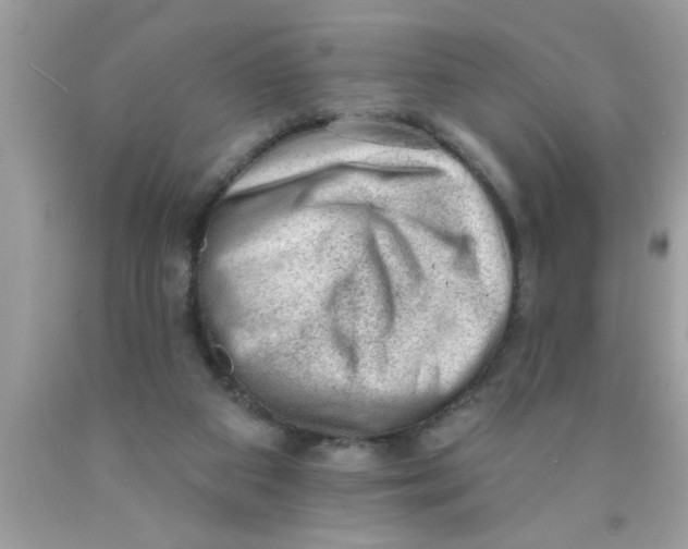 X0000089860113200707262136