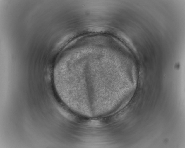 X0000089860114200707262136