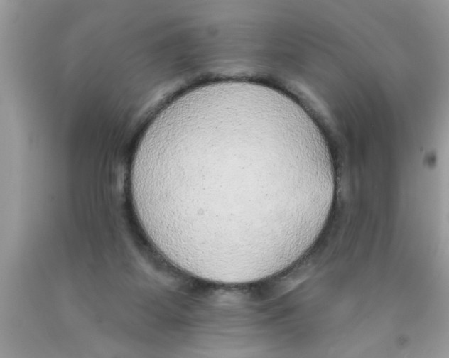 X0000089860115200707262136