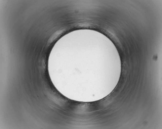 X0000089860116200707262136