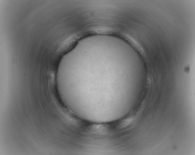 X0000089860117200707262136